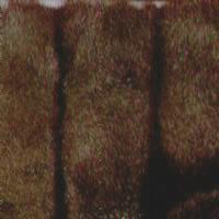 Faux Fur Pelted Brown Mink